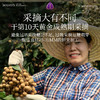 觅菓AA+泰国清迈琥珀龙眼肉干268g原味无添加果干桂圆干零食煲汤 商品缩略图7