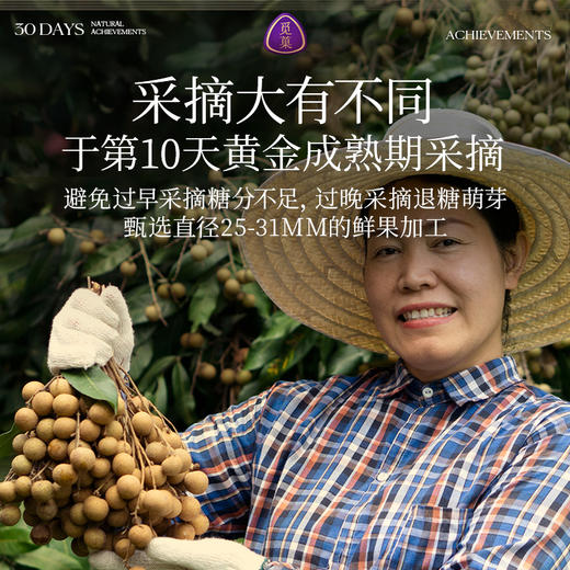 觅菓AA+泰国清迈琥珀龙眼肉干268g原味无添加果干桂圆干零食煲汤 商品图7