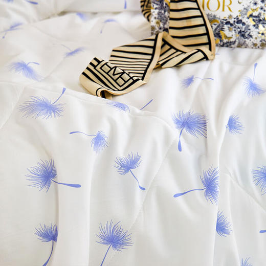 莱生活  沁凉夏被 追梦 商品图1