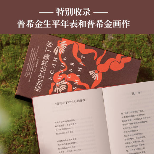 【原野诗丛】假如生活欺骗了你：普希金诗选 商品图3