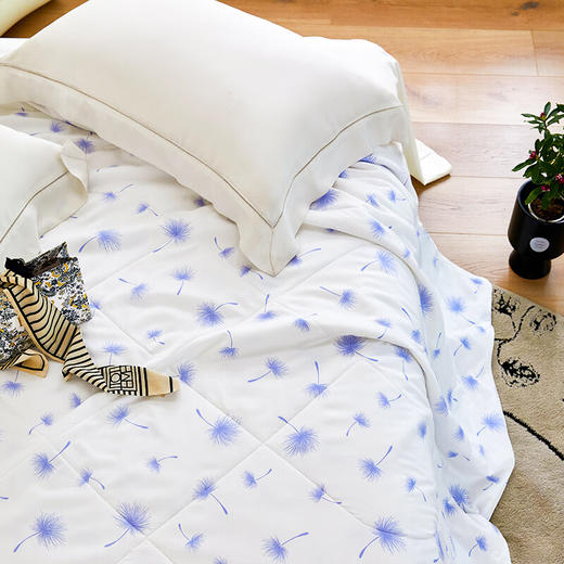 莱生活  沁凉夏被 追梦 商品图3