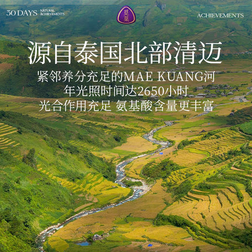 觅菓AA+泰国清迈琥珀龙眼肉干268g原味无添加果干桂圆干零食煲汤 商品图8