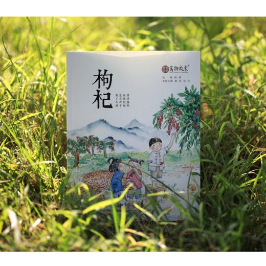 万物启蒙（柳、蝉、苔、枸杞）人文通史中国一线教师原创课程经典 商品图5