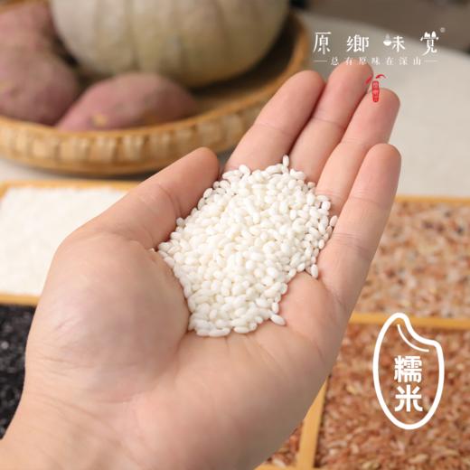 生态梯田古稻三色糙米/胚芽米/红糙米/红胚芽米/黑米/糯米（基地直发-顺丰包邮）| 2斤装，5斤装，来自贵州贵阳，生产者：杨婧懿【合作生产，公平贸易】 商品图8