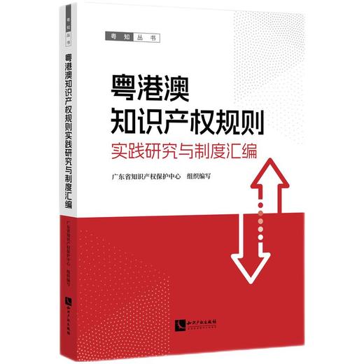 粤港澳知识产权规则实践研究与制度汇编 商品图0