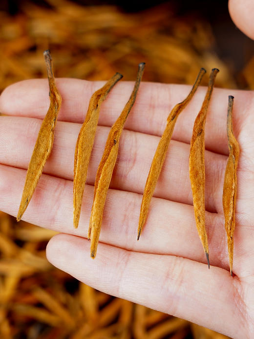 【限时秒杀】【 滇红大金针】云南凤庆·滇红之乡核心产区，只采一季春茶精华，匠心制作古树滇红红茶 200克/罐 商品图5