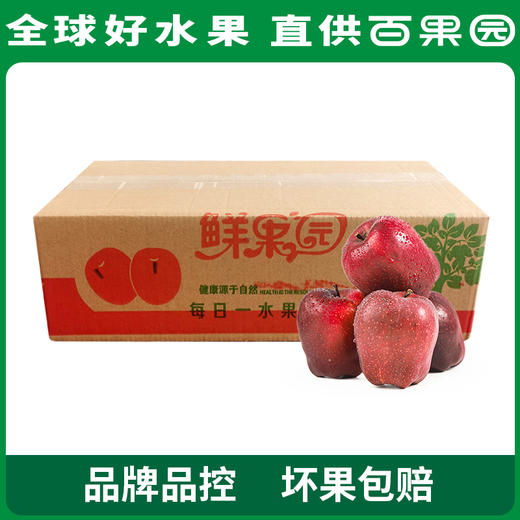 PAGODA百果园 花牛苹果3斤家庭装（单果径75mm+） 商品图4