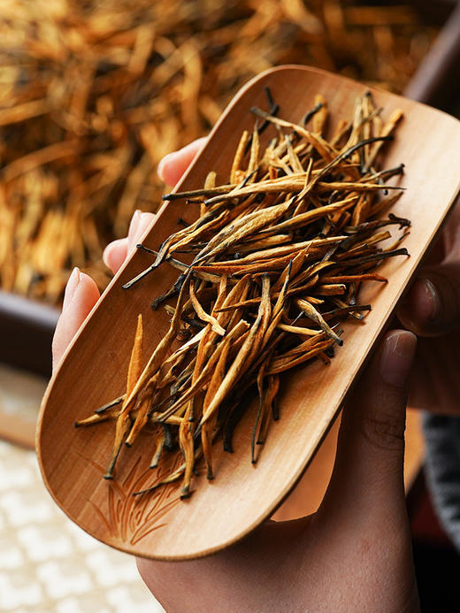 【限时秒杀】【 滇红大金针】云南凤庆·滇红之乡核心产区，只采一季春茶精华，匠心制作古树滇红红茶 200克/罐 商品图1