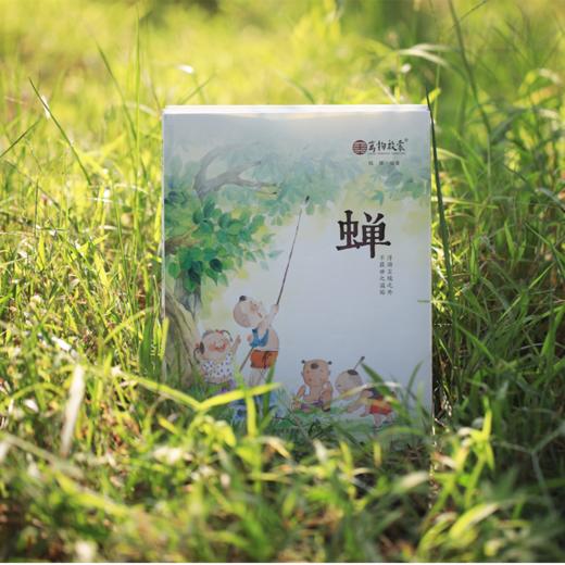 万物启蒙（柳、蝉、苔、枸杞）人文通史中国一线教师原创课程经典 商品图4