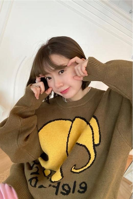 WHO KNOWS 可爱款大象河马图案针织两穿上衣 14827 商品图0