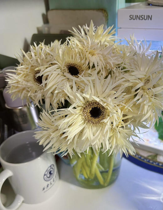 【拉丝弗朗】白色拉丝菊  约10枝/扎 商品图0