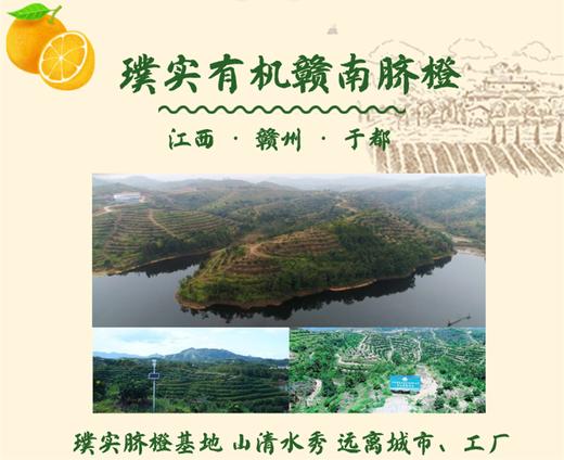 璞实®有机赣南脐橙5kg（含箱） 商品图6