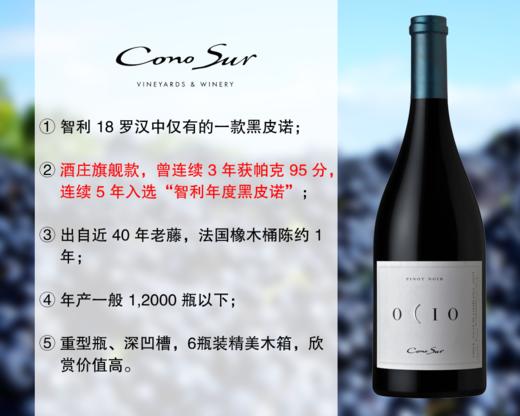【特价促销，3升装仅1瓶】智利18罗汉：柯诺苏逸品黑皮诺旗舰干红（2019年） 商品图0