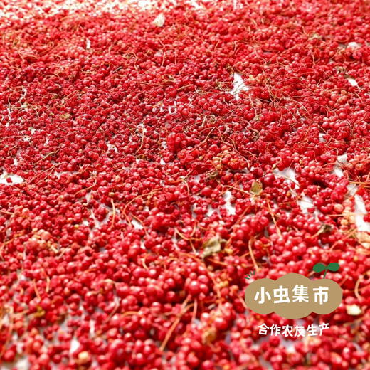 野生五味子干 50g/袋 | 合作农友生产，源自大兴安岭原始森林，生产者：柳树 ＆【公平贸易农人定价】 商品图5