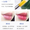 【跨境】DHC保湿润唇膏1.5g（效期：2029/08） 商品缩略图6