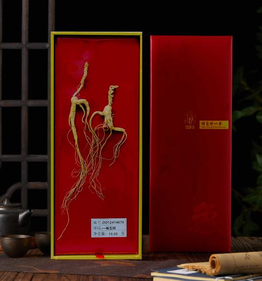 神象 野山参一等五级10克 （18年以上） 商品图0