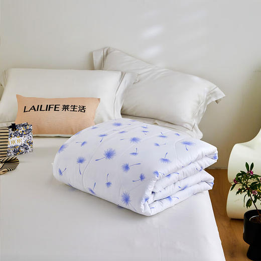莱生活  沁凉夏被 追梦 商品图4