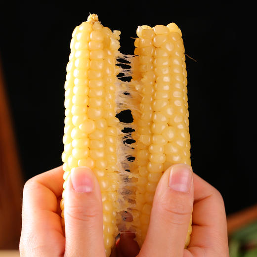 云南【拇指玉米】醇香Q糯 粒粒饱满 个头迷你 非转基因 0添加！ 商品图5