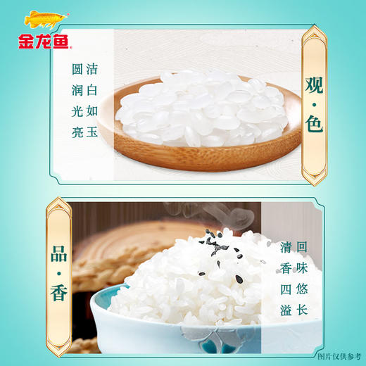 金龙鱼 东北大米 臻选稻香贡米5kg*2  100067961152 商品图3