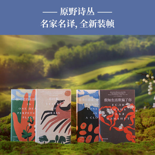 【原野诗丛】假如生活欺骗了你：普希金诗选 商品图4