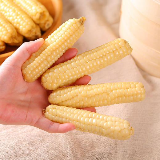云南【拇指玉米】醇香Q糯 粒粒饱满 个头迷你 非转基因 0添加！ 商品图6