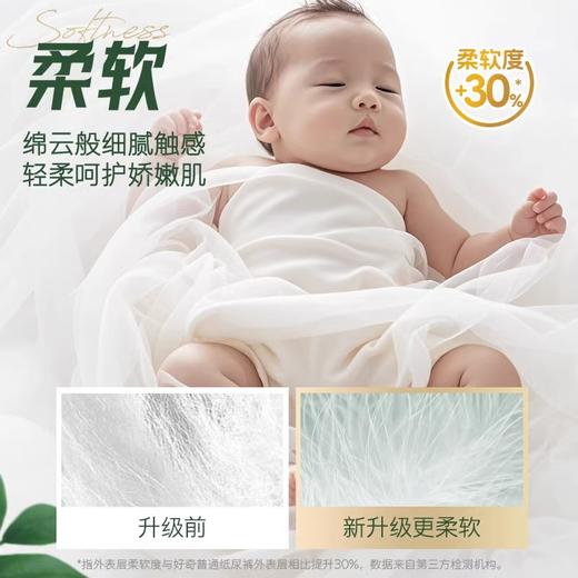 【两包一组】好奇彩箱 | 小森林去野系列  纸尿裤 拉拉裤 商品图4