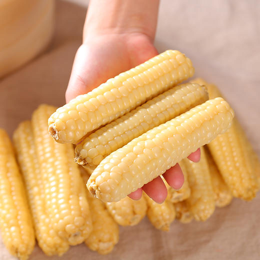 云南【拇指玉米】醇香Q糯 粒粒饱满 个头迷你 非转基因 0添加！ 商品图4