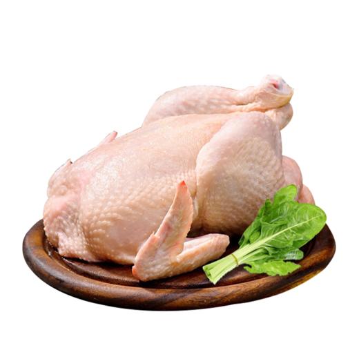 【顺丰包邮，精选黄油老母鸡】现杀速冻新鲜到家，黄油丰富肉质紧实，发酵谷物喂养，汤鲜味美滋补佳品QQ 商品图7