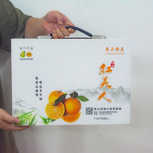 象山红美人10粒装2.5kg 商品图1