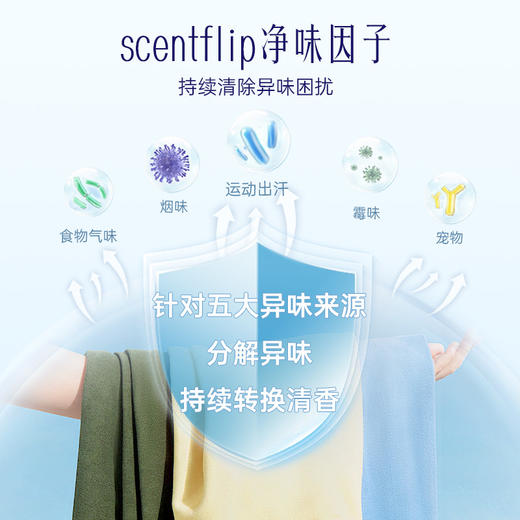 Hygiene喜净泰国进口洗衣液2.8L 强效去污深层洁净易漂洗_dr 商品图5