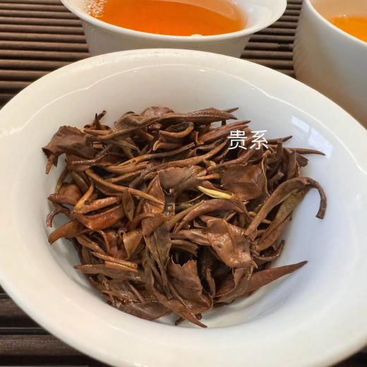 2024 美人茶 大田美人茶制茶大师 陈大显制  30克起 商品图6