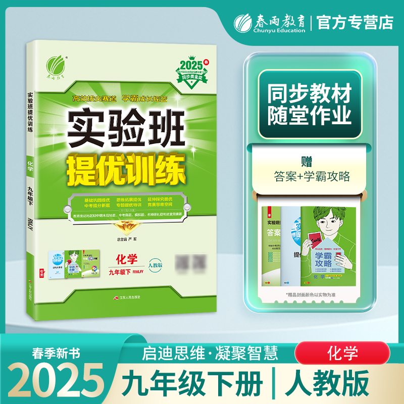 2025春 【人教版】九年级化学(下) 实验班提优训练