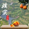 璞实®有机赣南脐橙5kg（含箱） 商品缩略图3