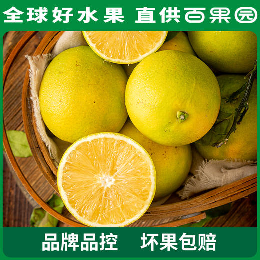 PAGODA百果园 招牌-橙以橙（大）10斤礼盒装 商品图4