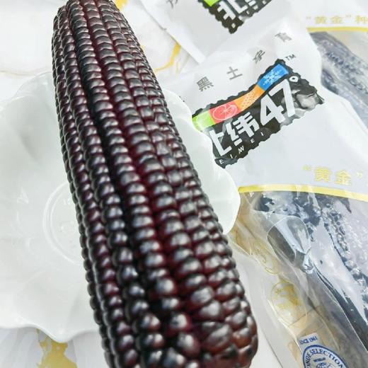 北纬黑珍珠甜糯玉米 商品图1