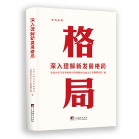 深入理解新发展格局