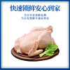 【顺丰包邮，精选黄油老母鸡】现杀速冻新鲜到家，黄油丰富肉质紧实，发酵谷物喂养，汤鲜味美滋补佳品QQ 商品缩略图5