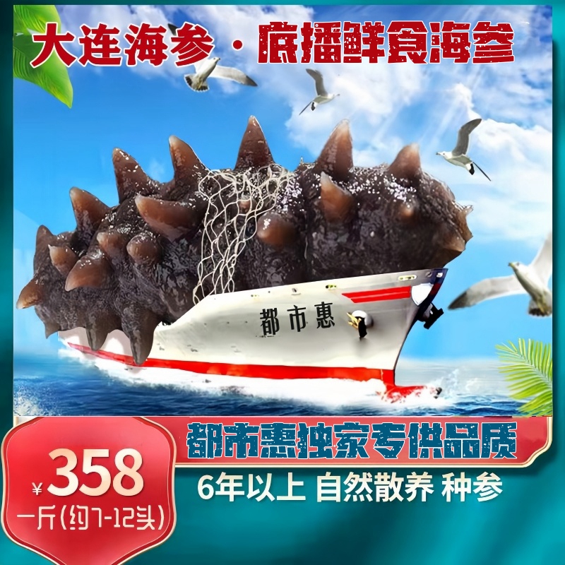 入选复购冠军榜单【6年足龄大个头】大连鲜食海参都市惠定制：长山列岛6年足龄种参