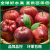 PAGODA百果园 花牛苹果3斤家庭装（单果径75mm+） 商品缩略图2