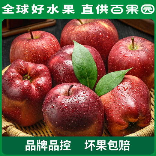 PAGODA百果园 花牛苹果3斤家庭装（单果径75mm+） 商品图2