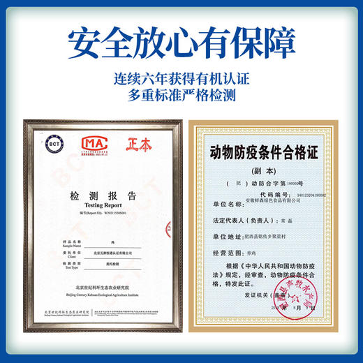 【顺丰包邮，精选黄油老母鸡】现杀速冻新鲜到家，黄油丰富肉质紧实，发酵谷物喂养，汤鲜味美滋补佳品QQ 商品图6