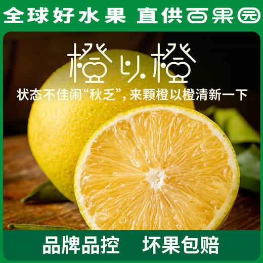 PAGODA百果园 招牌-橙以橙（大）10斤礼盒装 商品图3