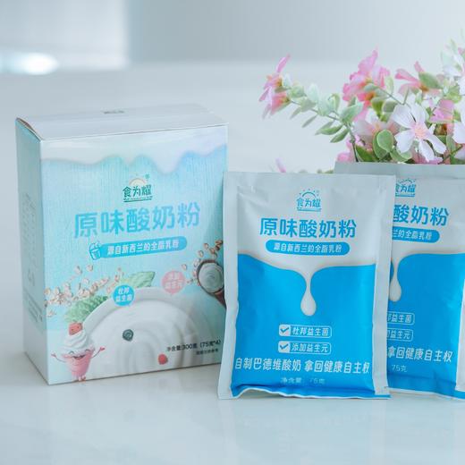 食为耀酸奶粉豆腐状巴德维酸奶新西兰进口奶粉进口杜邦益生菌300g 商品图3
