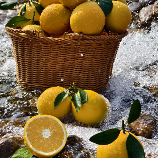 【现摘现发】正宗江西赣南脐橙 九省包邮 商品图13