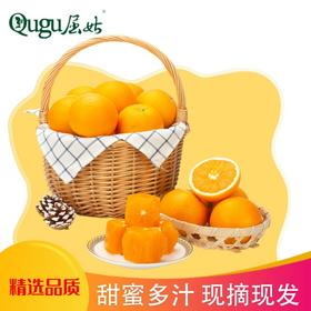 【严选】屈姑秭归现摘现发九月红脐橙带箱5斤/9斤彩箱装 （厂家直发）