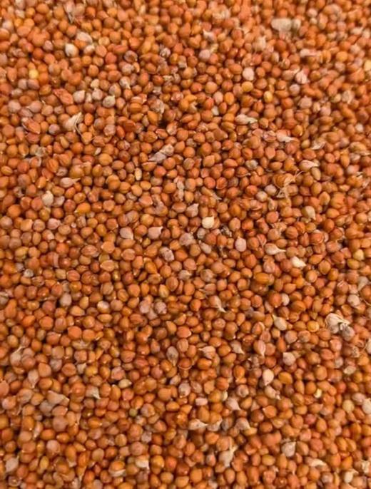 新小米｜2025年11月收 商品图14