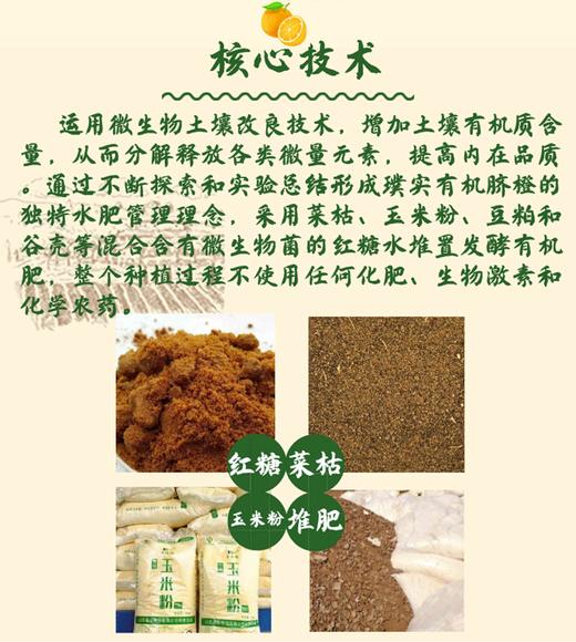 璞实®有机赣南脐橙5kg（含箱） 商品图7