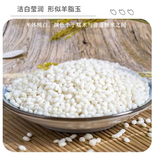 【新品上市】八宝贡.云南高原羊玉脂米 5KG/袋 商品图1