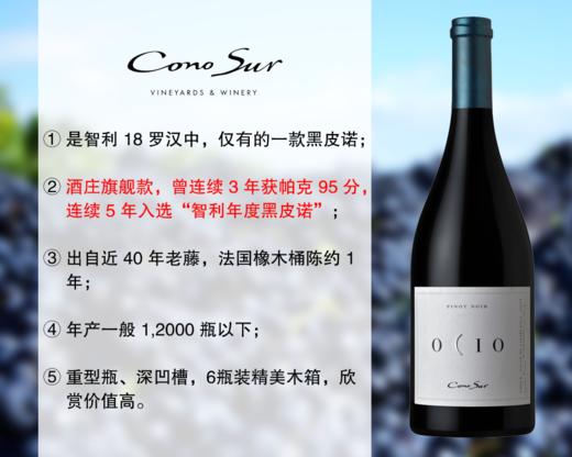 【特价预售】【曾连续3年获RP95】智利18罗汉：柯诺苏逸品黑皮诺旗舰干红（2019年） 商品图0