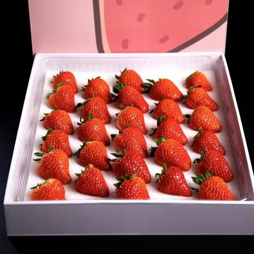 🍓红颜草莓  ·  生态种植 · 自然生长·  自然熟 ·  草莓风味浓郁 商品图1